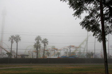 Foggy Knotts Berry Farm