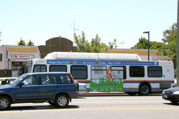 Metro Bus